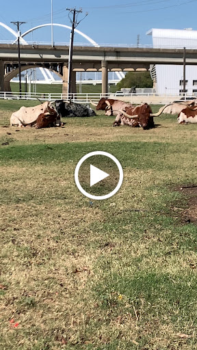 Convenience Store «Fuel City», reviews and photos, 801 S Riverfront Blvd, Dallas, TX 75207, USA