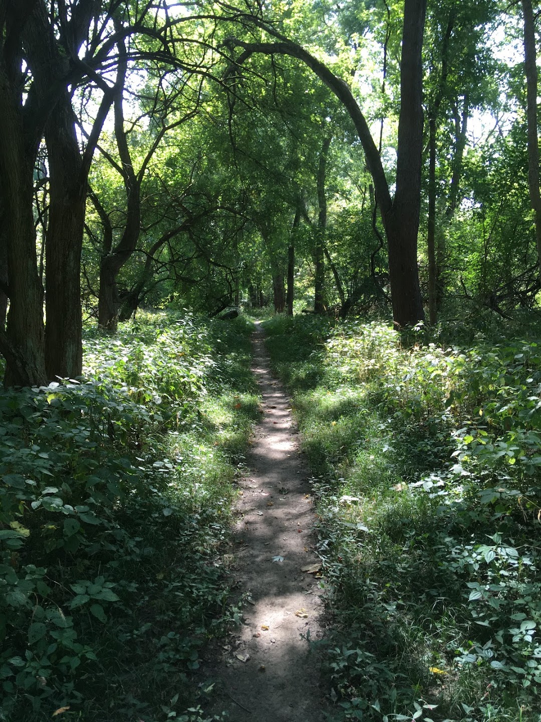 Kickapoo Creek Park