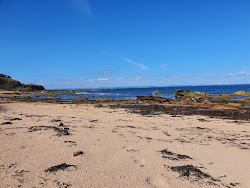 Foto von Drift Beach mit sehr sauber Sauberkeitsgrad