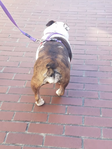 Historical Landmark «Historic Charleston City Market», reviews and photos, 188 Meeting St, Charleston, SC 29401, USA