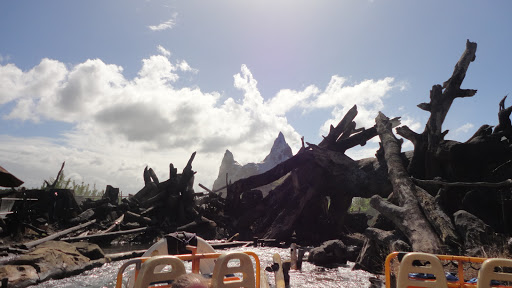 Tourist Attraction «Kali River Rapids», reviews and photos, Asia, Kissimmee, FL 34747, USA