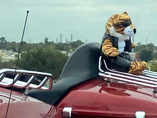 Personal Injury Attorney «Law Tigers», reviews and photos