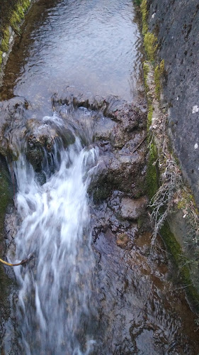 Im Fahr 14, 5105 Auenstein