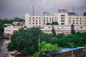 National Institute of Cardiovascular Diseases (NICVD) image
