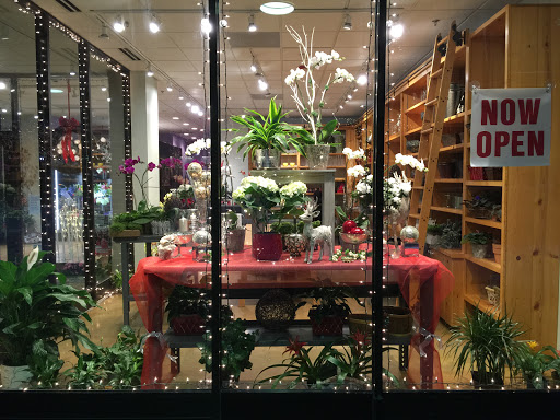 Florist «Florals By Mary Celeste», reviews and photos, 610 Central Ave #160, Highland Park, IL 60035, USA