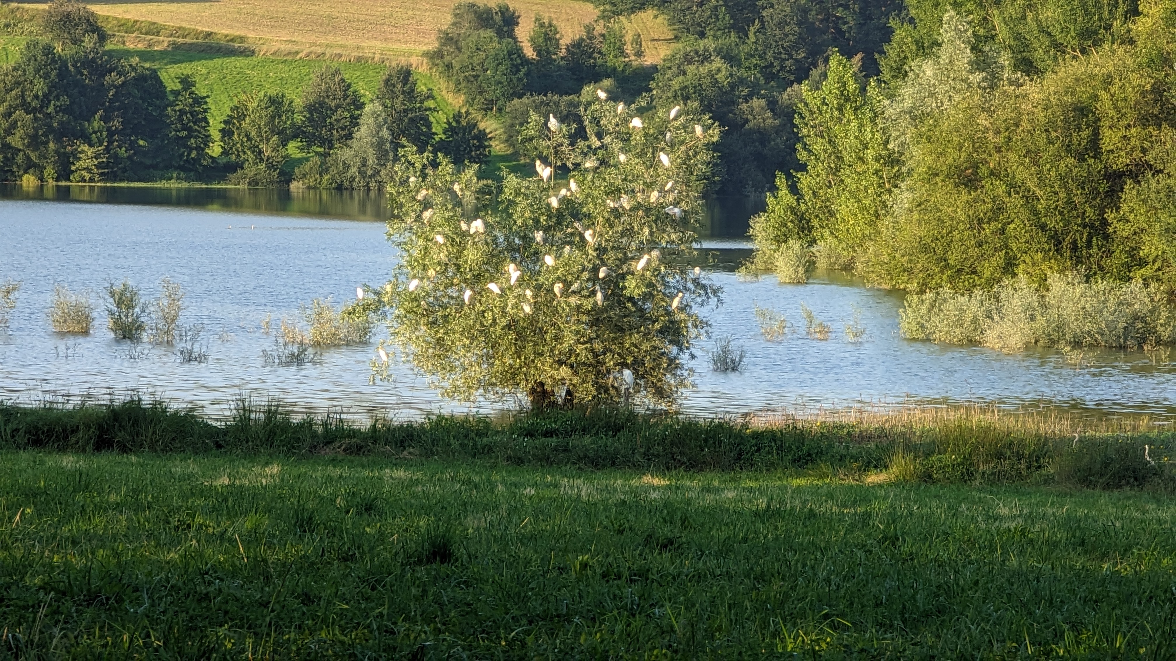 Photo n° 2 de l'avis de CHRIS.O fait le 10/07/2023 à 22:11