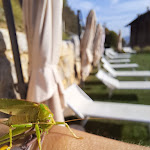 Photo n°6 de l'avis de Nicolette. fait le 12/10/2023 à 07:05 sur le  Cascina Belvedì Ristorante Albergo à Ubiale Clanezzo