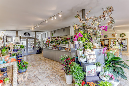 Florist «Dr Delphinium Flower & Orchid House», reviews and photos, 513 W Campbell Rd, Richardson, TX 75080, USA