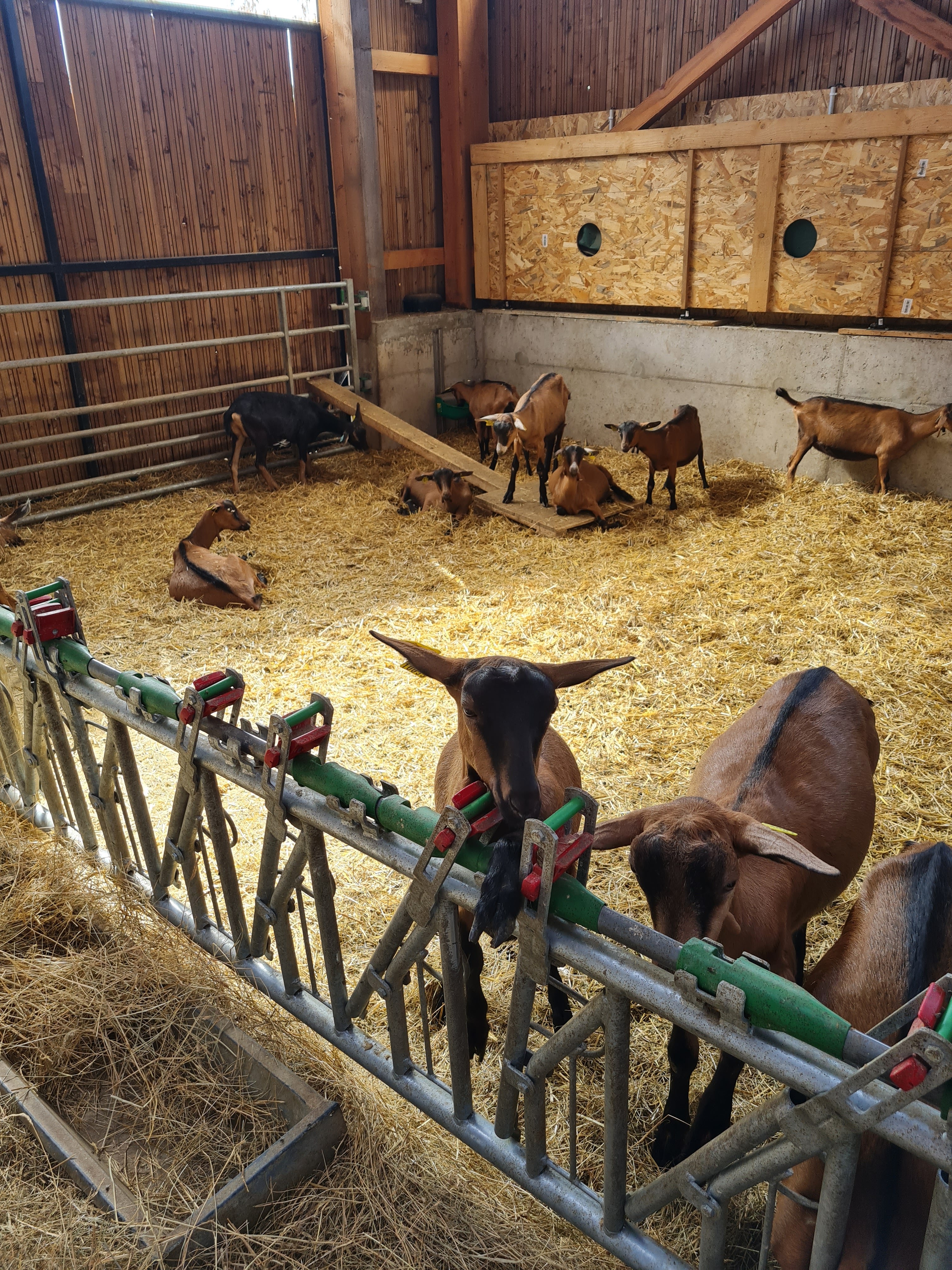 Photo n° 2 de l'avis de Paulette.y fait le 10/08/2022 à 11:51