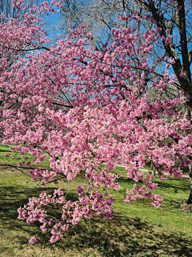 Botanical Garden «Merion Botanical Park», reviews and photos, 100 Merion Rd, Merion Station, PA 19066, USA