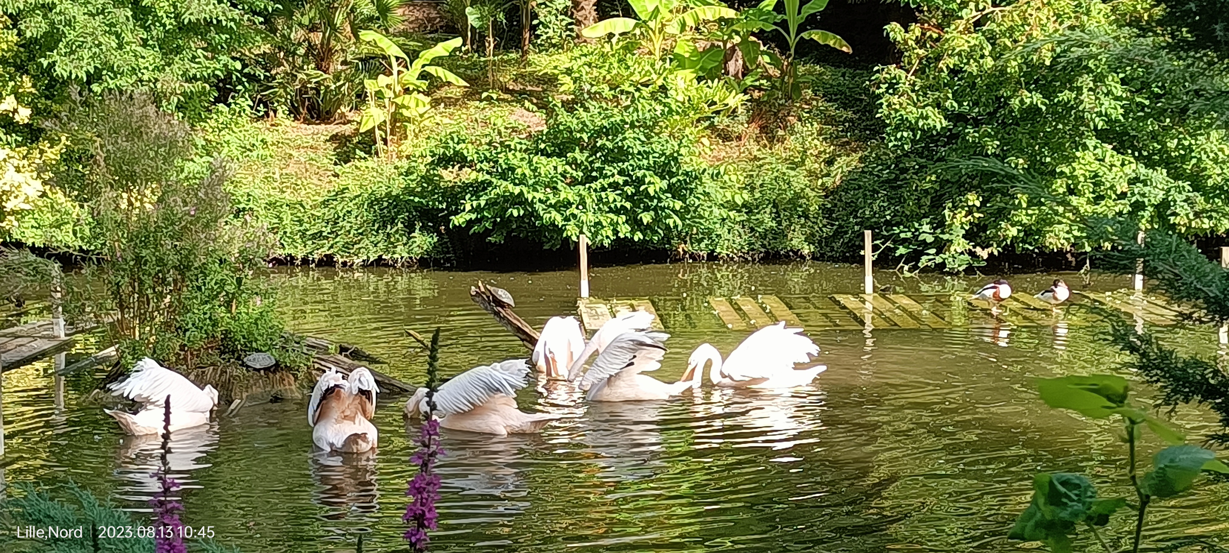 Photo n° 7 de l'avis de Chloe.r fait le 15/08/2023 à 11:04