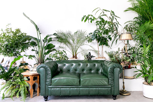 Florist «Ampersand», reviews and photos, 80 Albion St, San Francisco, CA 94103, USA