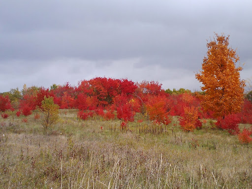 Park «Lake Elmo Park Reserve», reviews and photos, 1515 Keats Ave N, Lake Elmo, MN 55042, USA