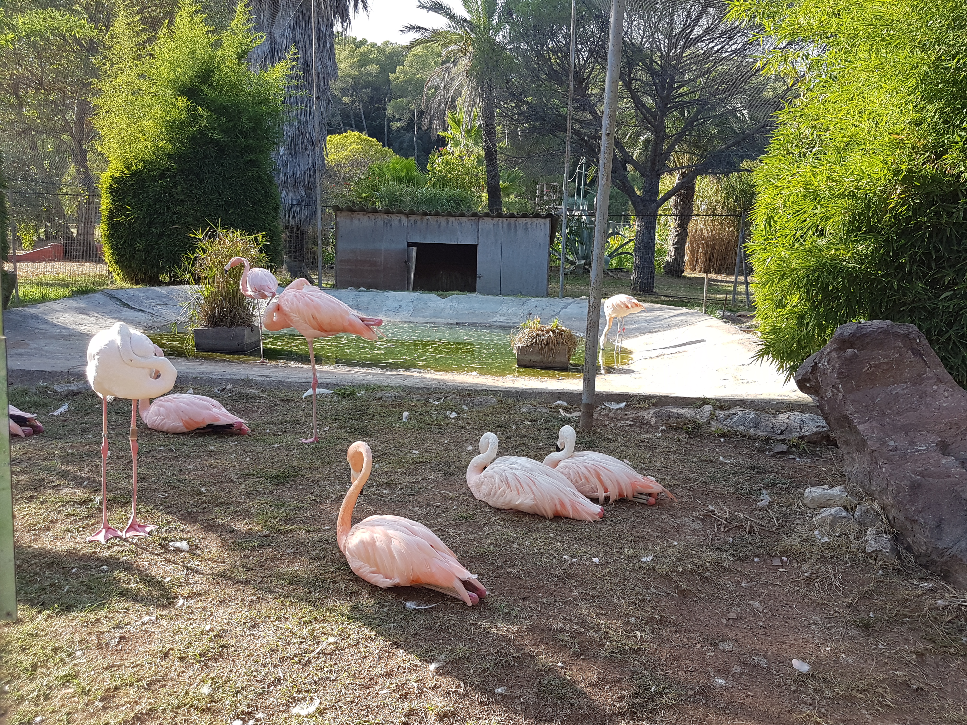 Photo n° 13 de l'avis de Armand.A fait le 09/09/2018 à 19:52