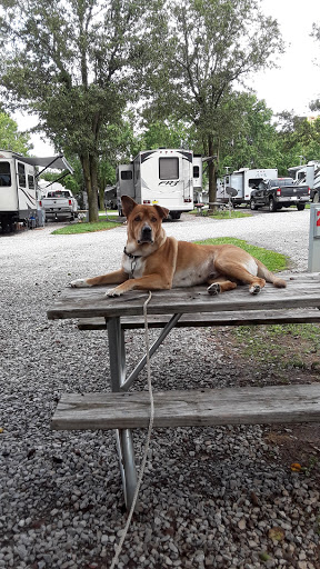 RV Park «Clarksville R.V. Park and Campground», reviews and photos, 1270 Tylertown Rd, Clarksville, TN 37040, USA