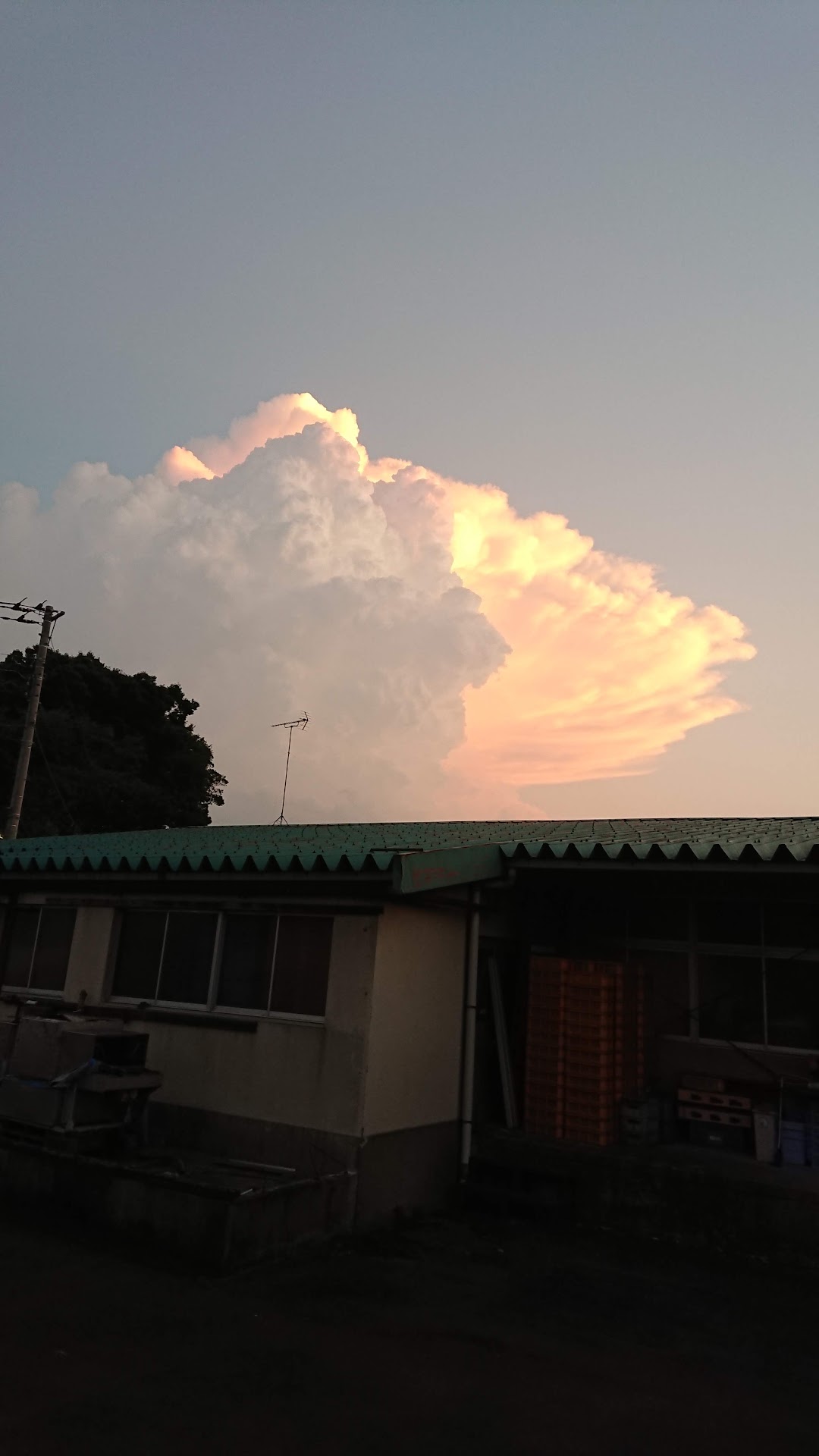 桶川養鶏センタ