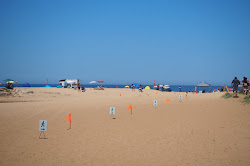 Foto di Stanwell Park Beach area servizi