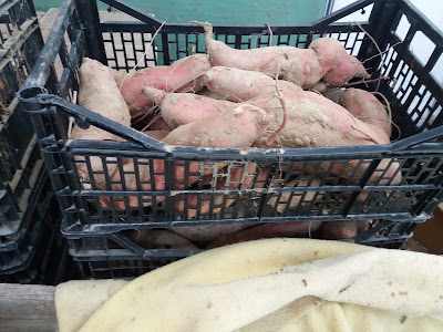 Du Local Dans L'Assiette à Grisolles