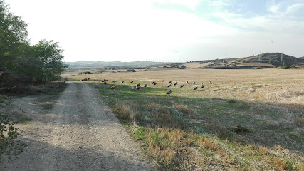 el maño - N-121, 31395 Barásoain, Navarra, Spain