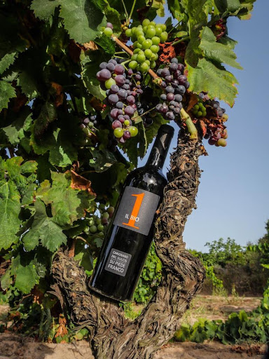 Wine Store «Enoteca Vino Nostro / Italian wine shop», reviews and photos, 1455 Van Ness Ave, San Francisco, CA 94109, USA