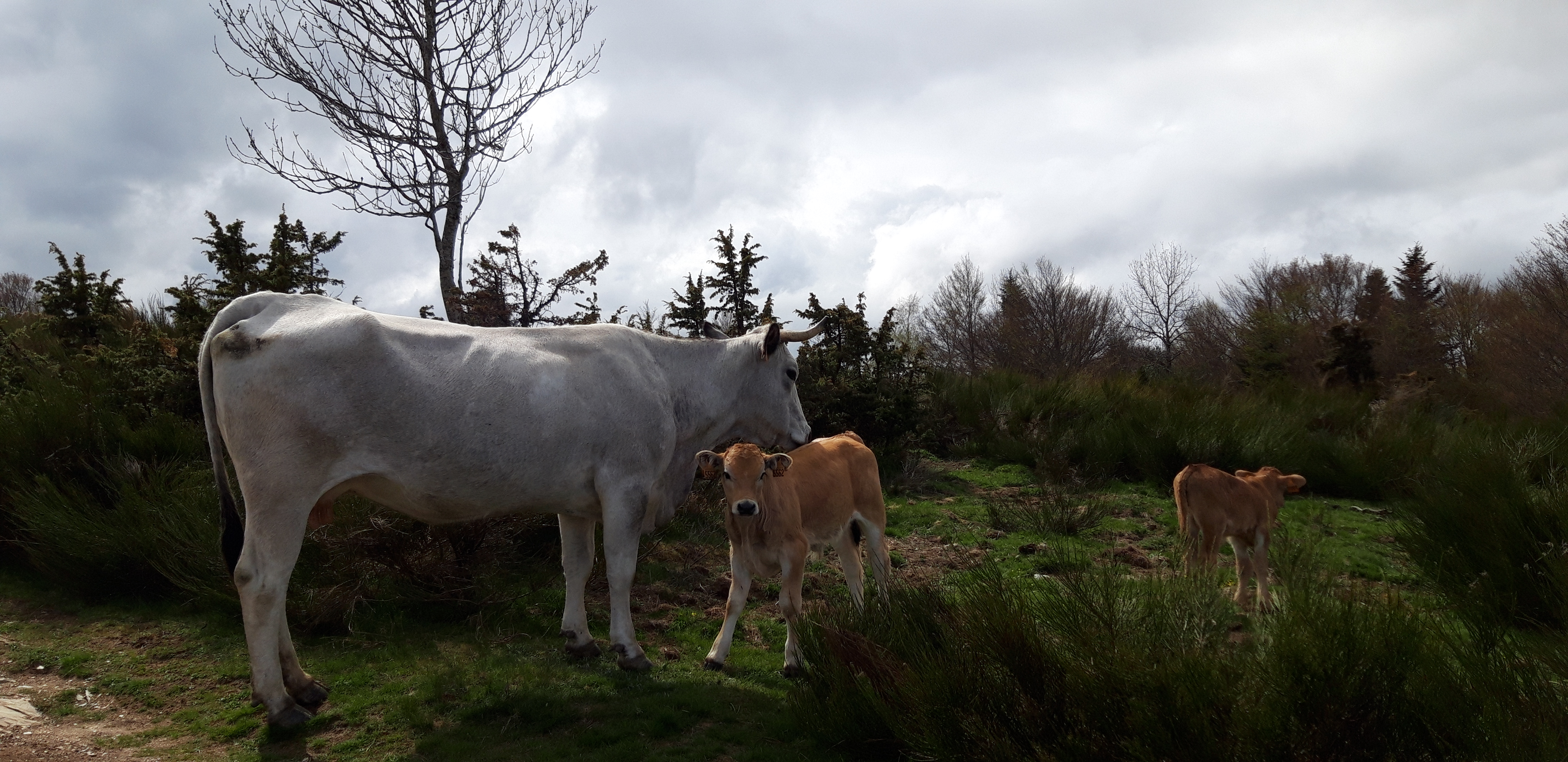 Photo n° 3 de l'avis de Ghyslain.a fait le 19/05/2019 à 15:24