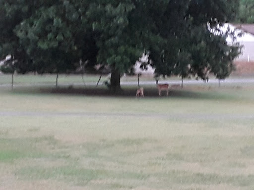 Public Golf Course «Mohawk Park Golf Course», reviews and photos, 5223 E 41st St N, Tulsa, OK 74115, USA