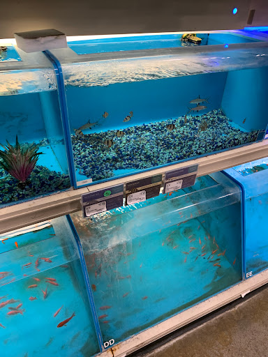 Pet Supply Store «PetSmart», reviews and photos, 1331 Nixon Dr, Moorestown, NJ 08057, USA