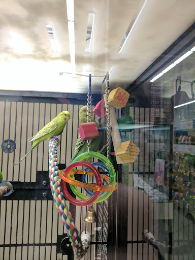 Pet Supply Store «PetSmart», reviews and photos, 19075 Interstate 45 S, Shenandoah, TX 77385, USA