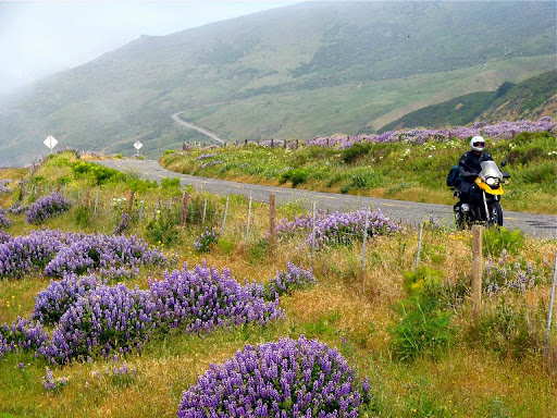 Motorcycle Rental Agency «Dubbelju Motorcycle Rentals», reviews and photos, 274 Shotwell St, San Francisco, CA 94110, USA