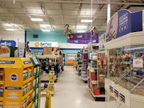 PetSmart - Photo 8 - Car repair in Pearland, TX, Pearland