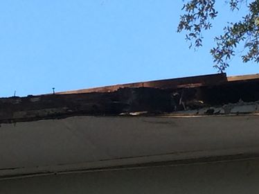 Roofing Contractor «Parlament Roofing and Construction», reviews and photos, 12880 Automobile Blvd l, Clearwater, FL 33762, USA