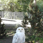 Photo n°2 de l'avis de hans.n fait le 09/09/2018 à 14:54 sur le  Zoorestaurant SAMBESI - Eintritt erforderlich à Hoyerswerda