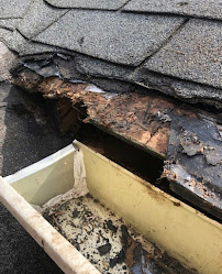 Trutech Wildlife Removal - Photo 4 - Car repair in , Atlanta