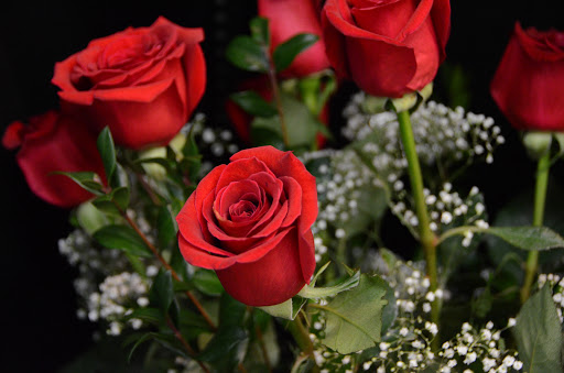 Florist «Flower Cart», reviews and photos, 105 W State St, Pendleton, IN 46064, USA