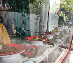 Rumah Makan SAIYO photo