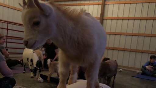 Farm «Benton Family Farm», reviews and photos, 11896 Old Lexington Pike, Walton, KY 41094, USA