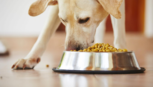 Zoe & Sasha's Homemade Dog Treats