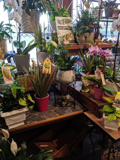 Florist «Lewis Florist», reviews and photos, 147 US-45, Grayslake, IL 60030, USA