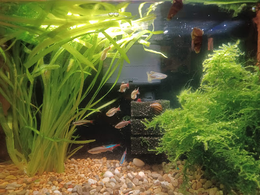 Pet Store «Hackettstown Pet Supplies», reviews and photos, 141 Main St, Hackettstown, NJ 07840, USA