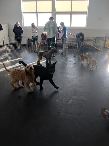Cochrane & Area Humane Society
