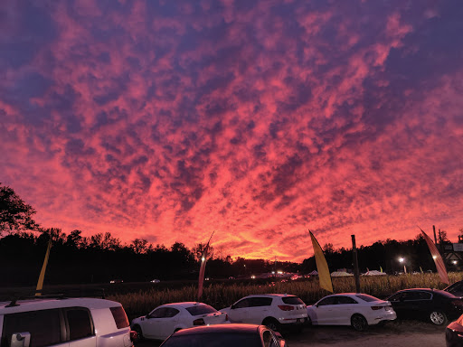 Farm «Buford Corn Maze.», reviews and photos, 4470 Bennett Rd, Buford, GA 30519, USA