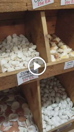 Gift Shop «Sea Treasures», reviews and photos, 2902 Surfside Blvd, Corpus Christi, TX 78402, USA