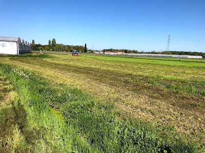 Le Jardin d’Ethan/ Serres Sanguinet à Eysines