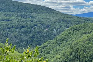 Kaaterskill Wild Forest image