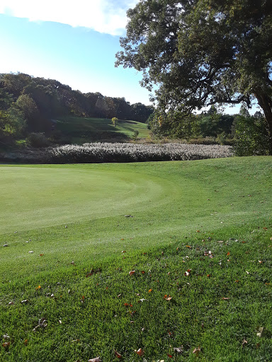 Golf Club «Alling Memorial Golf Course», reviews and photos, 35 Eastern St, New Haven, CT 06513, USA