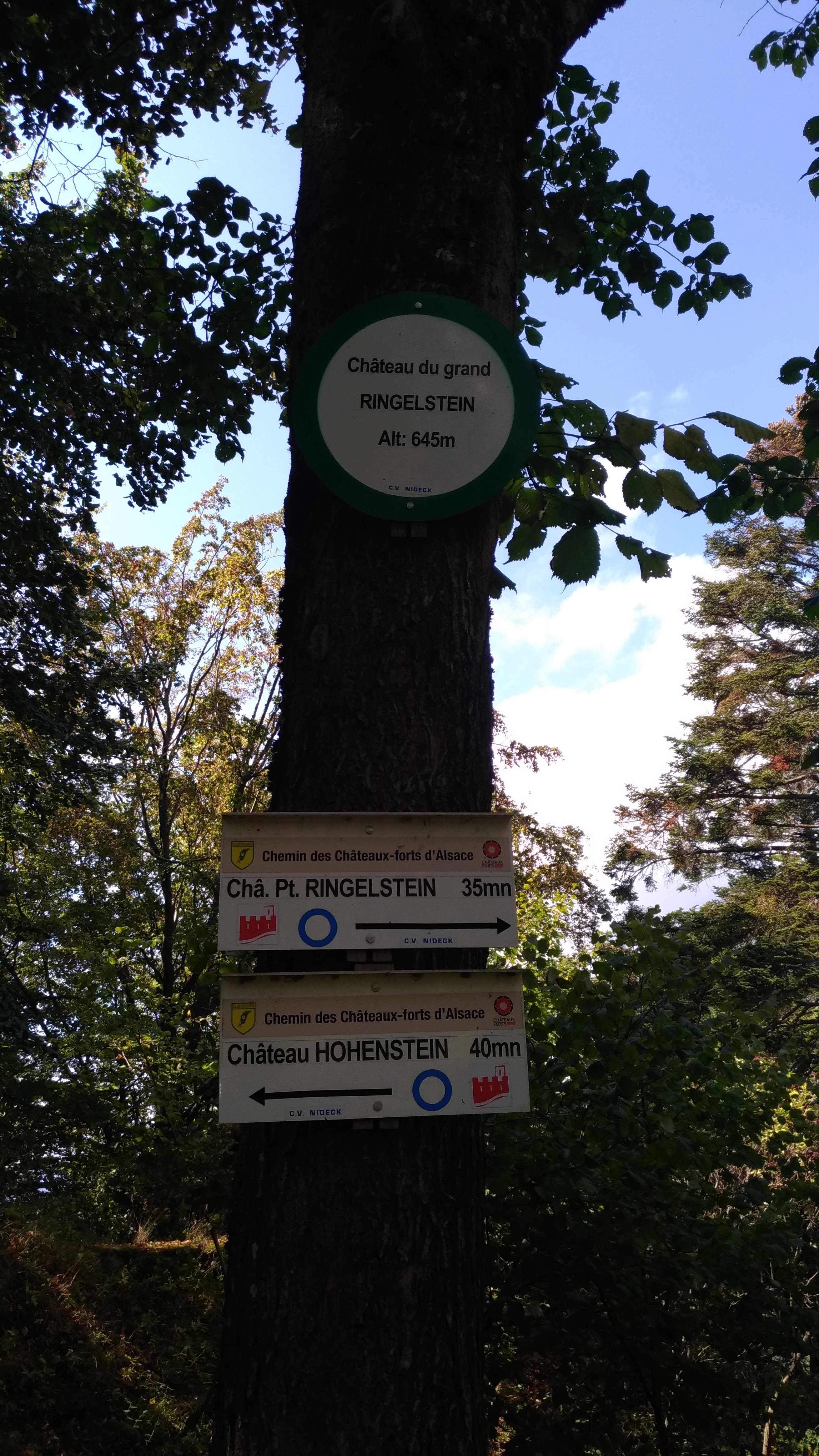 Photo n° 1 de l'avis de Dirk.o fait le 11/09/2020 à 13:28