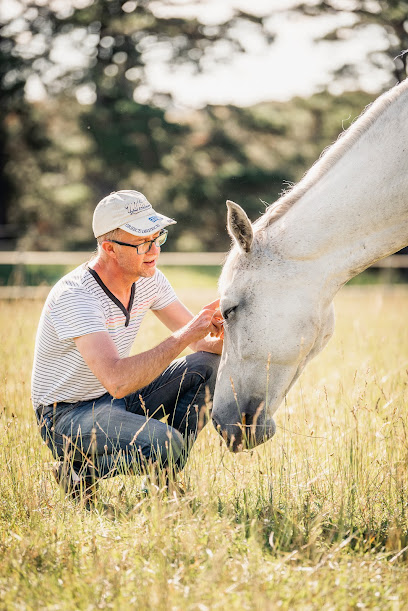 Stable Change Equine Assisted Therapy