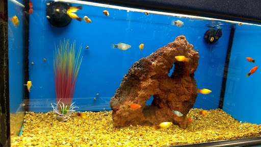 Pet Supply Store «Petco Animal Supplies», reviews and photos, 3731 Gateway Dr, Eau Claire, WI 54701, USA