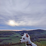Photo n° 1 de l'avis de Nataliia.a fait le 08/12/2022 à 19:36 pour Clinique Vétérinaire Midi Quercy à Nègrepelisse
