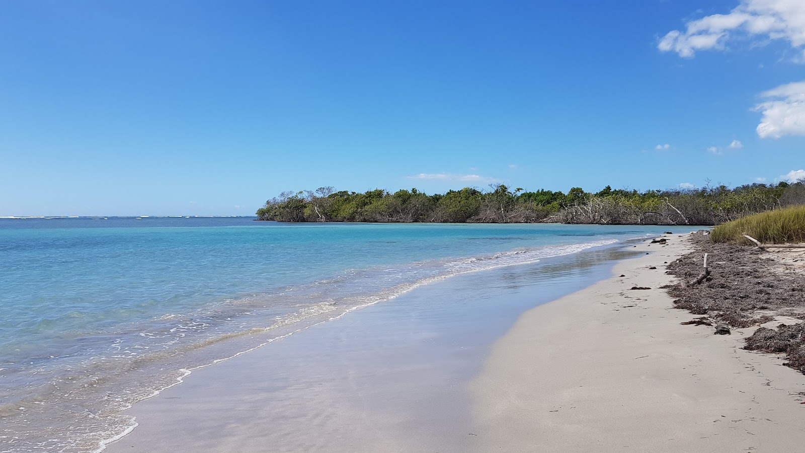 Photo de Playa Ballena avec sable lumineux de surface